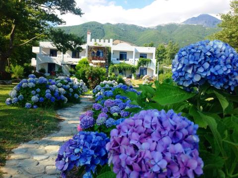 archondissa beach hotel
