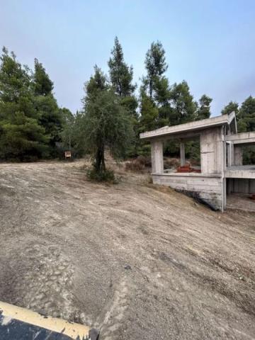 71346-homatoyrgikes-ergasies-kyrlas-ilias-yioi-_-homatoyrgikes-ergasies-kassandra-halkidiki-xomatourgikakyrlas15012025-18.jpg